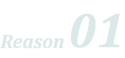 Reason 01