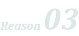 Reason 03